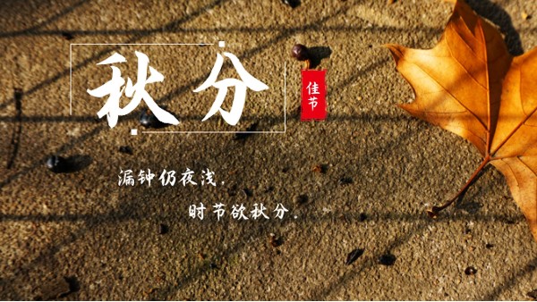 樓上樓門(mén)窗 | 白露秋分夜,一夜冷一夜，高端門(mén)窗安排上！